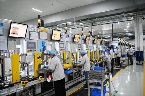 不老松 泰州姜堰創(chuàng)新全生命周期產(chǎn)品，推動產(chǎn)業(yè)大樹匯聚成林